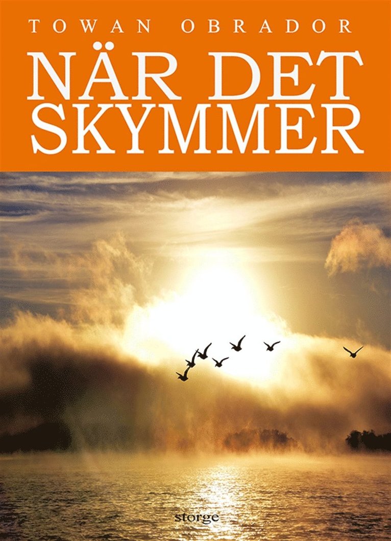 Towan Obrador - När det skymmer, E-bok
