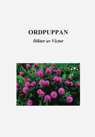 Ragnar Jungell Ordpuppan : dikter av Victor