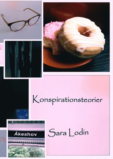 Sara Lodin Konspirationsteorier