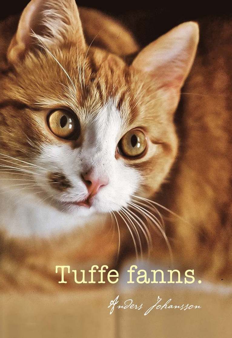 Anders Johansson - Tuffe fanns., Inbunden