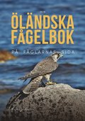 Min lndska fgelbok p fglarnas sida