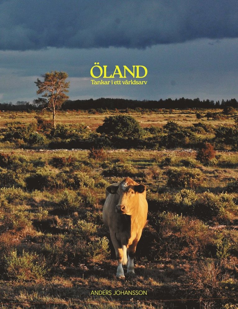 Anders Johansson - Öland, tankar i ett världsarv, Inbunden