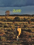 land, tankar i ett vrldsarv