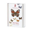 Nationalnyckeln: Fjärilar: Dagfjärilar (Klotband) : Hesperiidae-Nymphalidae