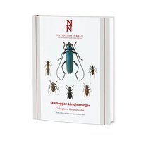 Skalbaggar : l�nghorningar. Coleoptera : cerambycidae
