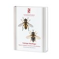 Tvvingar : blomflugor. Diptera : syrphidae: eristalinae & microdontinae
