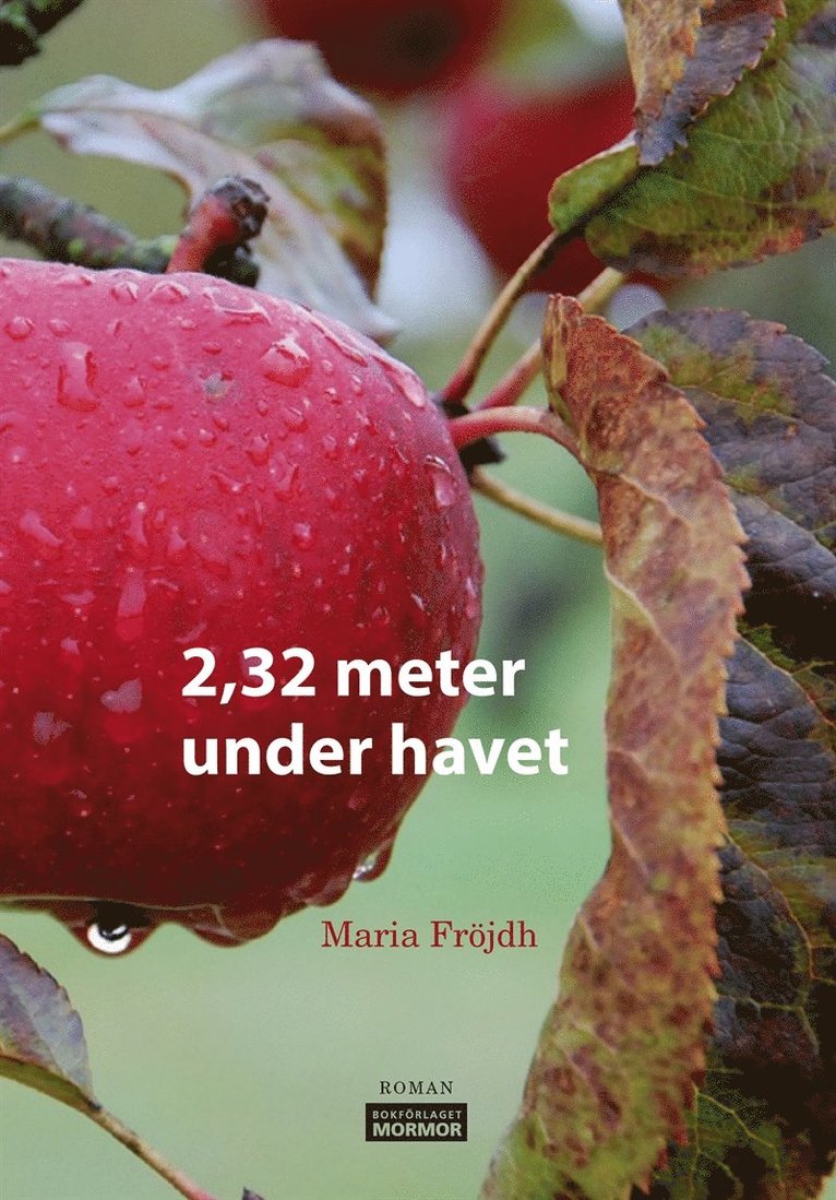 Maria Fröjdh - 2,32 meter under havet, E-bok