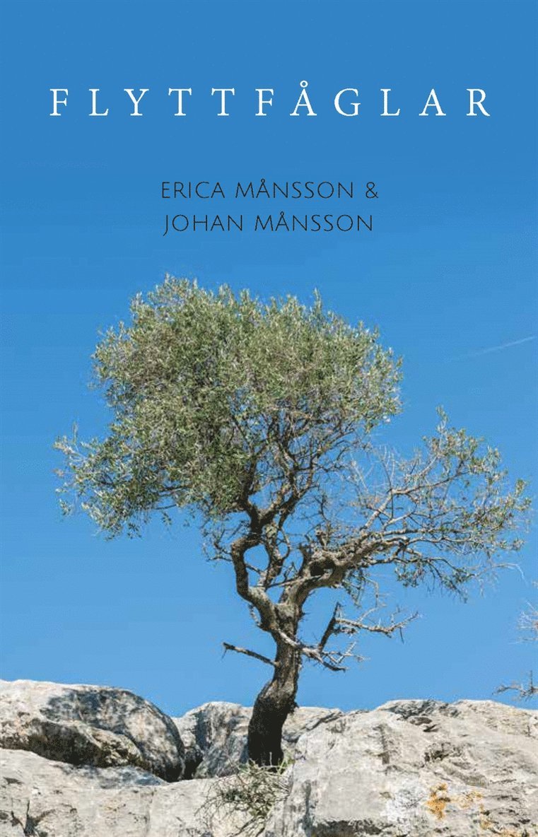 Erica Månsson, Johan Månsson - Flyttfåglar, E-bok