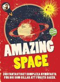 Amazing Space SWE (PDF)