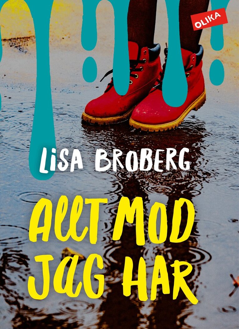 Lisa Broberg - Allt mod jag har, Inbunden
