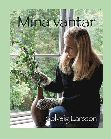 Solveig Larsson Mina vantar