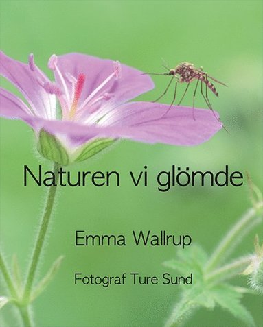 Emma Wallrup Naturen vi glömde