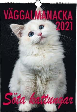 Söta kattungar, Övrigt