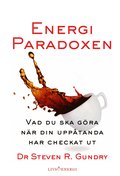Energiparadoxen
