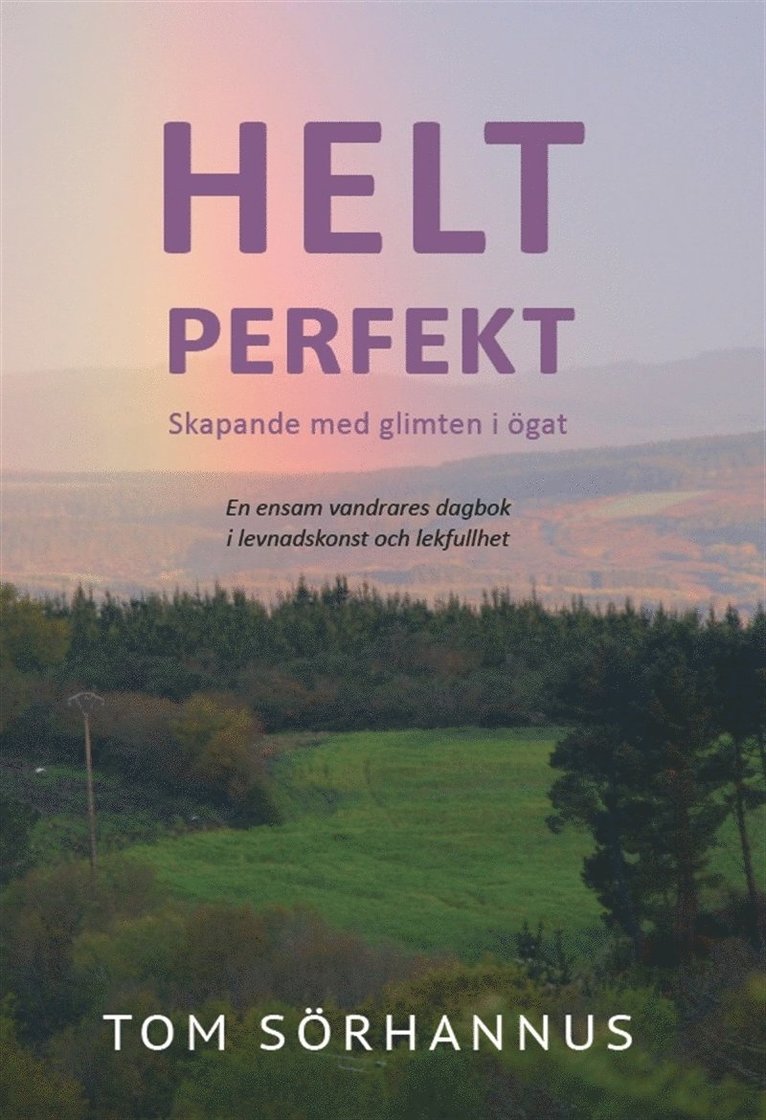 Tom Sörhannus - Helt perfekt, E-bok