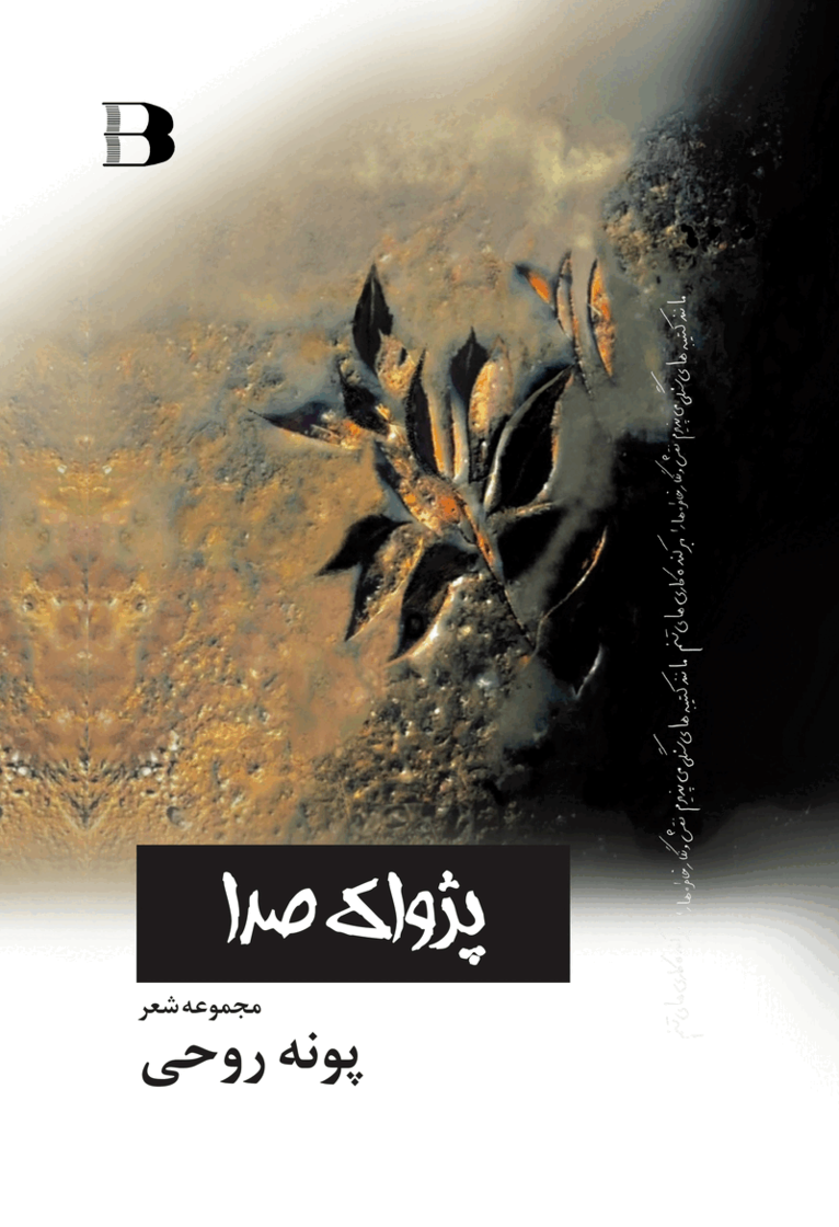 Pooneh Rohi - پژواک صدا Genljud, Inbunden