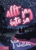 Allt jag inte sa