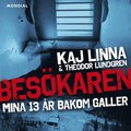 Besökaren : mina 13 år bakom galler