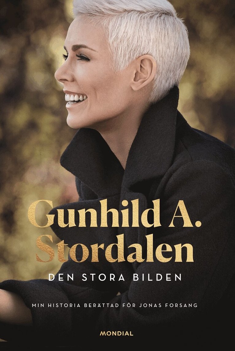 Jonas Forsang, Gunhild Stordalen - Den stora bilden, E-bok