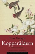 Drömmar om röda gemak 3. Kopparåldern