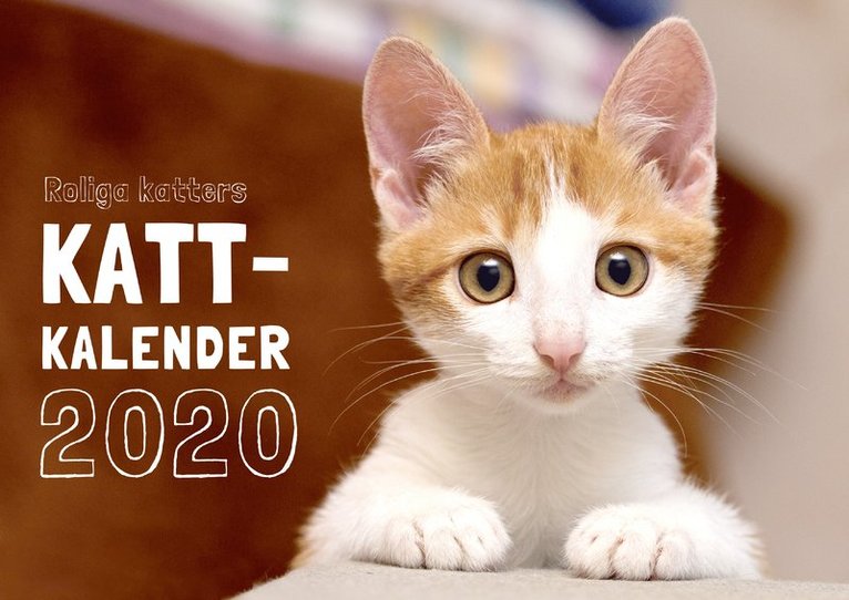 Roliga katters kattkalender 2020, Häftad