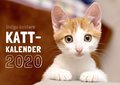 Roliga katters kattkalender 2020