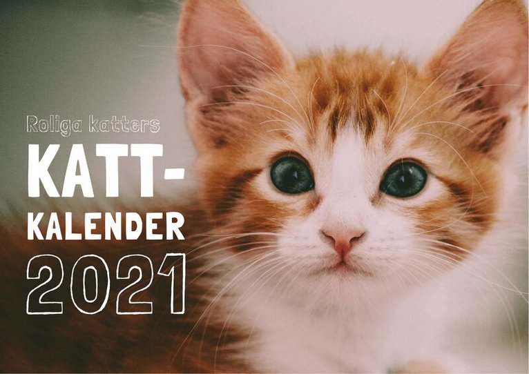 Roliga katters kattkalender 2021, Övrigt
