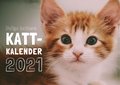 Roliga katters kattkalender 2021