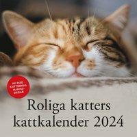 Roliga katters kattkalender 2024