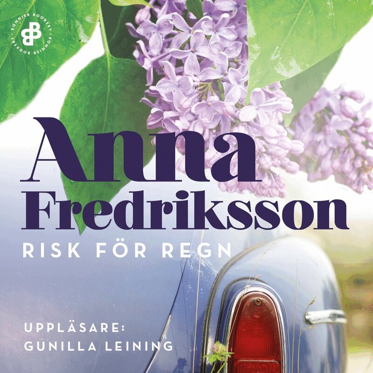 Anna Fredriksson - Risk för regn, Ljudbok