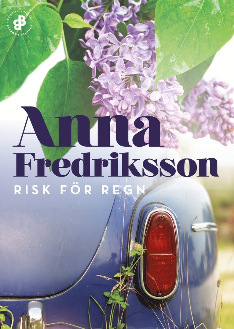 Anna Fredriksson - Risk för regn, E-bok