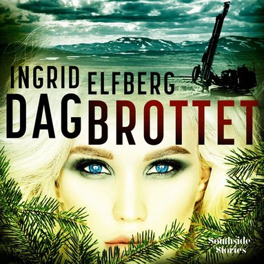 Ingrid Elfberg - Dagbrottet, Kartonnage
