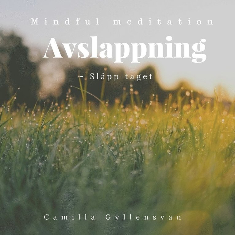 Camilla Gyllensvan - Avslappning - Släpp taget, Ljudbok