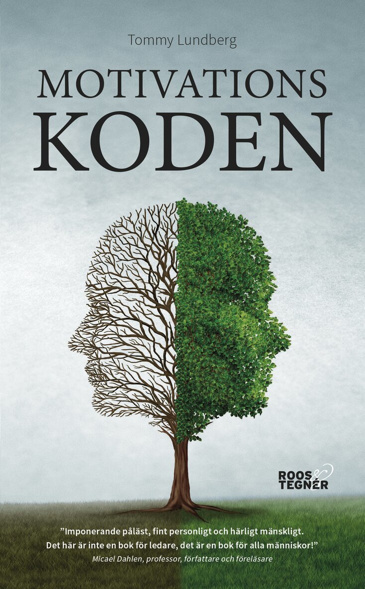 Tommy Lundberg - Motivationskoden, Pocket