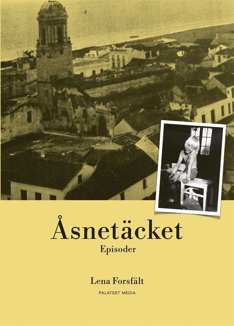 Lena Forsfält - Åsnetäcket, E-bok
