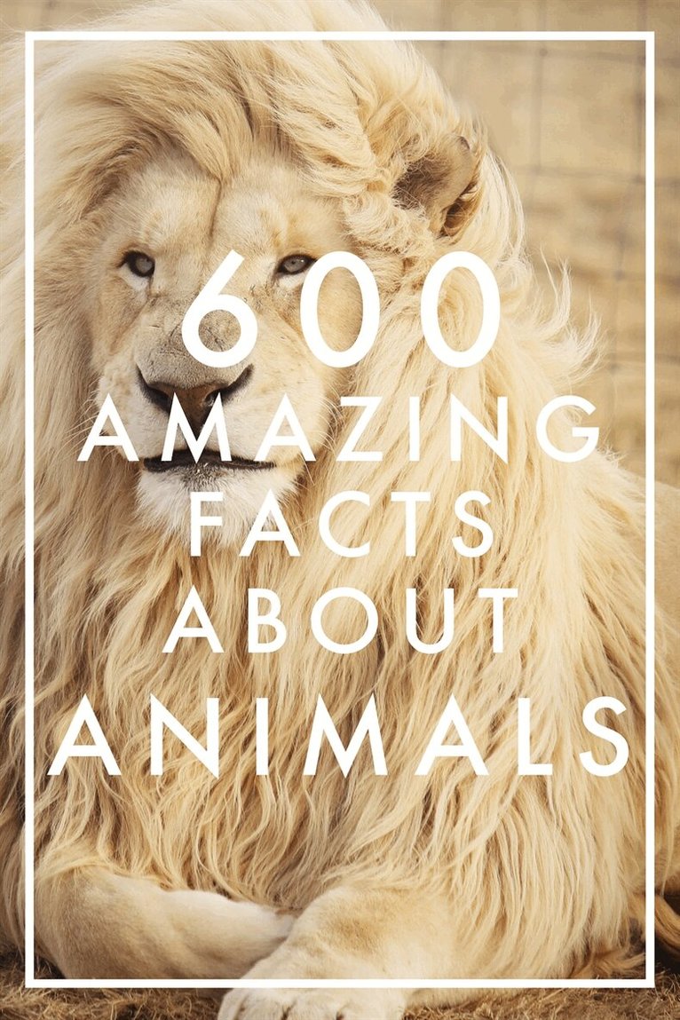 Nicotext Publishing - 600 Amazing Facts About Animals (Epub2), E-bok