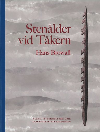 Hans Browall Stenålder vid Tåkern