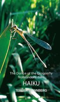 The dance of the Dragonfly / Trollslndans dans