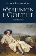 Frsjunken i Goethe och andra esser