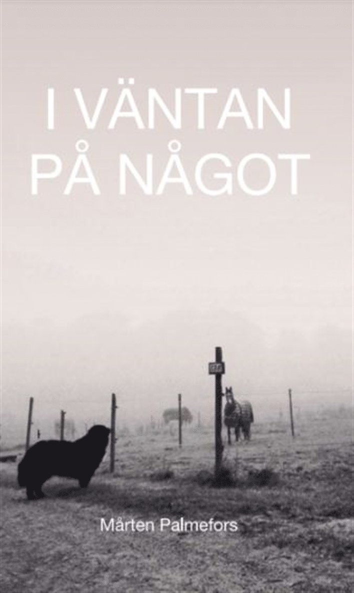 Mårten Palmefors - I väntan på något, E-bok