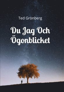 Ted Grönberg Du jag och ögonblicket