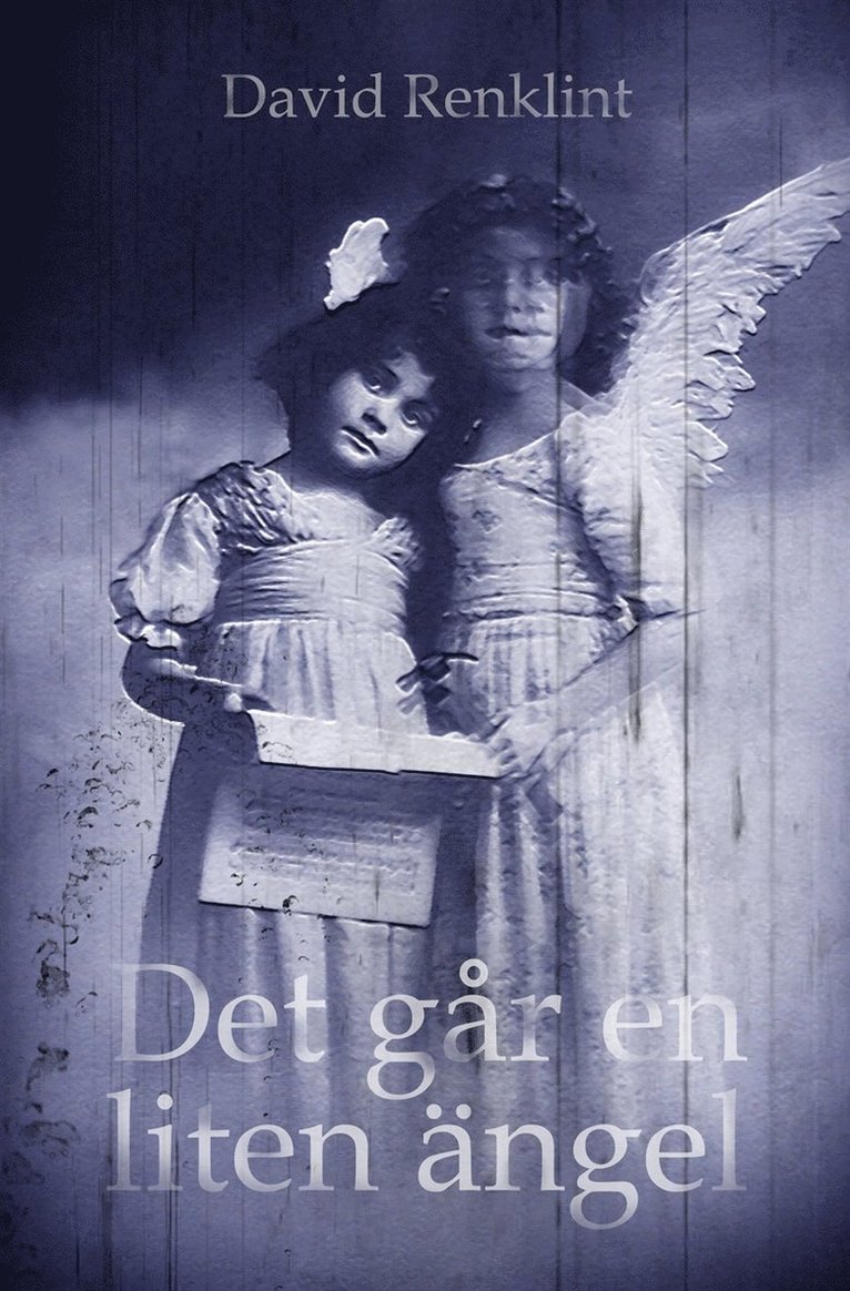 David Renklint - Det går en liten ängel, E-bok