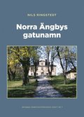 Norra ngbys gatunamn