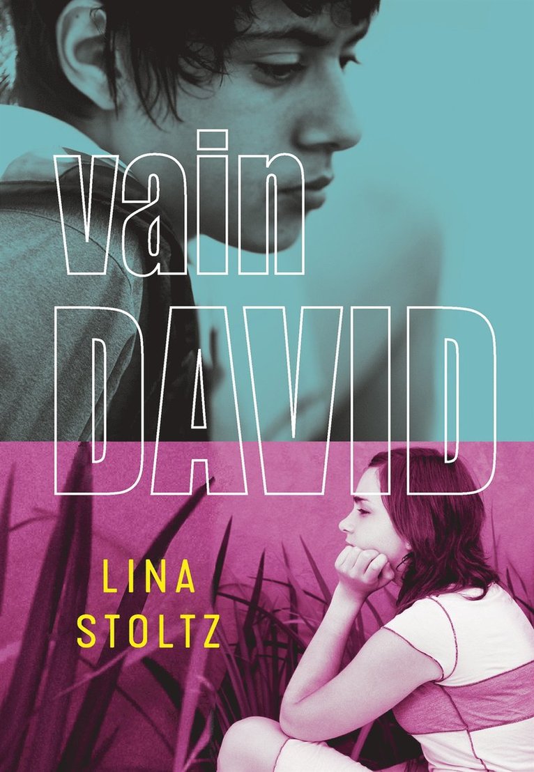 Lina Stoltz - Vain David, E-bok