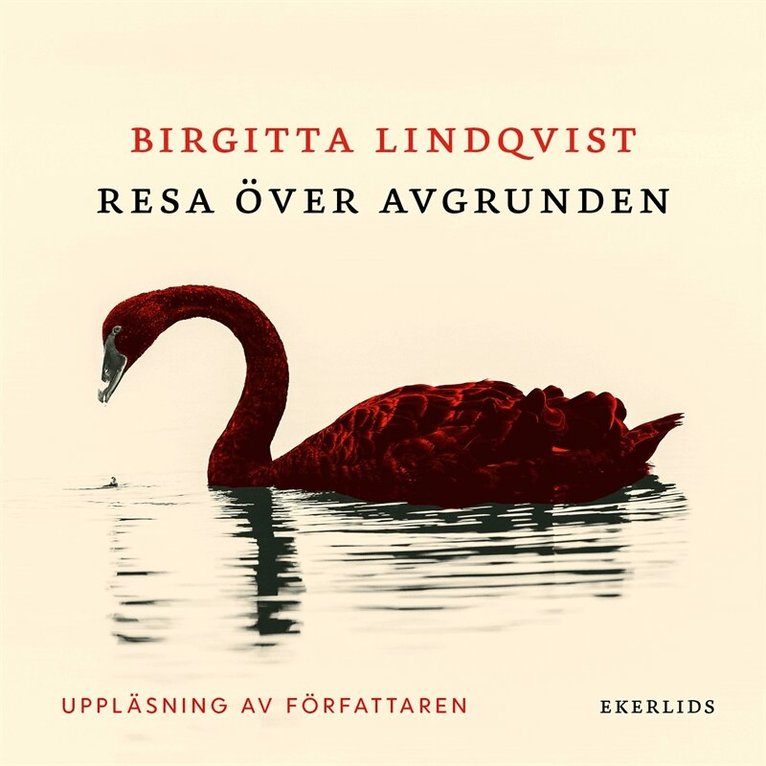 Birgitta Lindqvist - Resa över avgrunden, Ljudbok