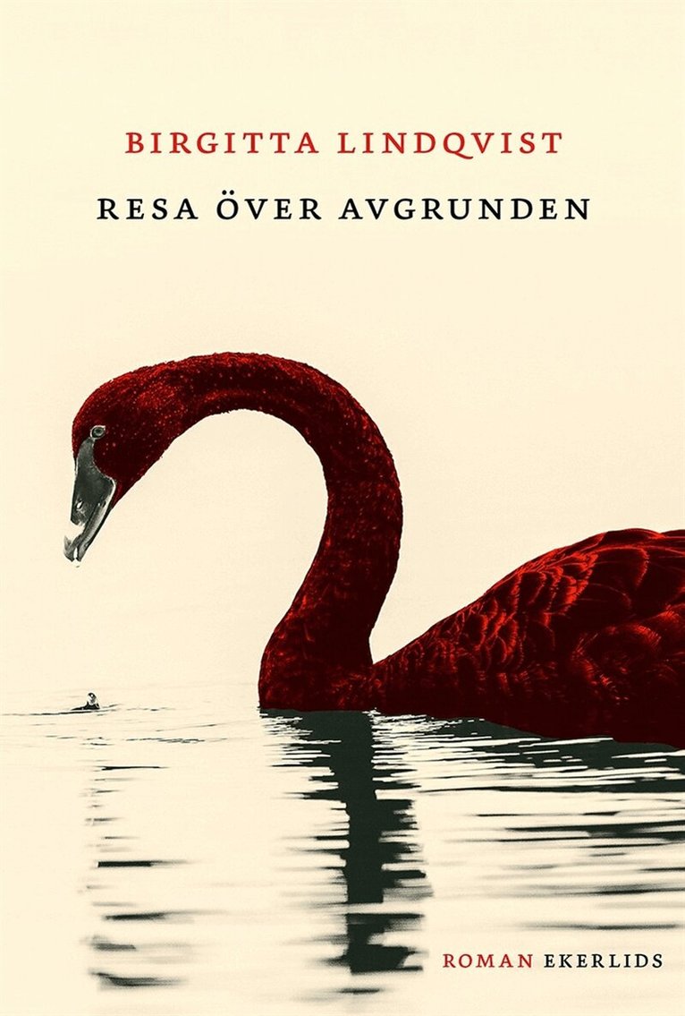 Birgitta Lindqvist - Resa över avgrunden, E-bok