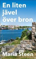 En liten jvel ver bron