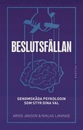 Beslutsfllan