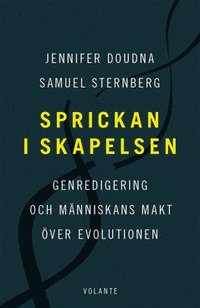 Sprickan i skapelsen
