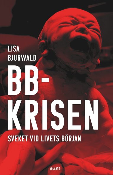 Lisa Bjurwald BB-krisen : sveket vid livets början